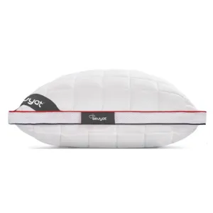 Climate P121 Pillow